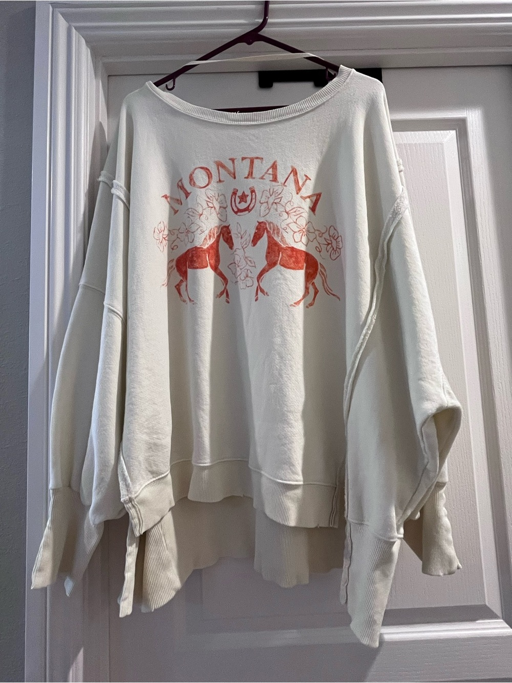 We The Free Cream Crewneck Sweatshirt with Rust Graphic - Picture 2 of 3